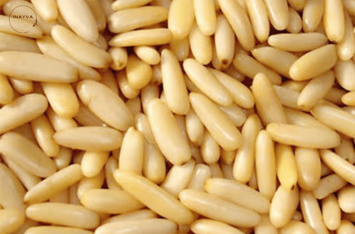 Himalayan Pine Nuts Without Shell