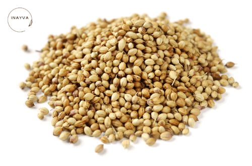 Coriander Seeds