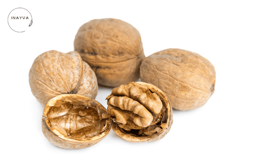 Chile Walnuts(In Shell)